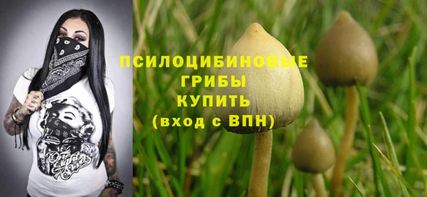 COCAINE Белокуриха