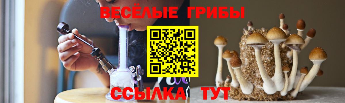 Галлюциногенные грибы мухоморы Минеральные Воды